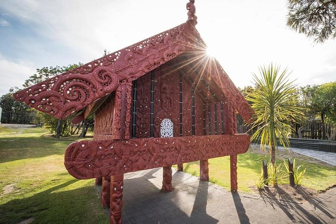 Waitomo Caves & Rotorua - Te Puia Small-Group Tour from Auckland - Comfort and motion tips for a 13-hour day that moves fast
