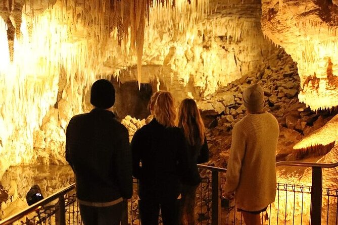 Waitomo Glow Worm Caves - Price ($173.14) and What You Actually Get for It