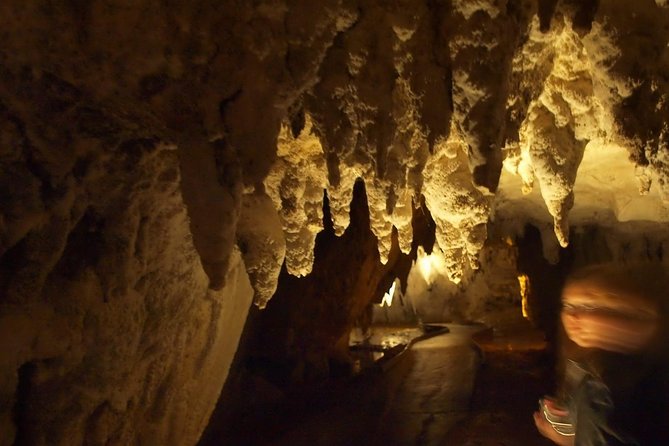 Waitomo Glowworm Caves In a Private Small Group Tour-Auckland. - Private small-group touring from Auckland: the real logistics value