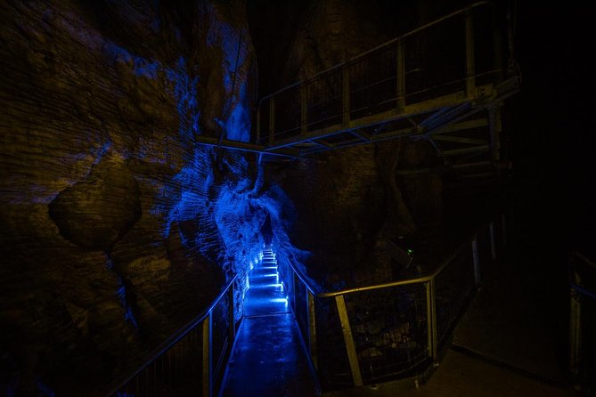 Waitomo Glowworm & Ruakuri Twin Cave Experience - Small Group Tour From Auckland - Auckland to Waitomo: the early start is the trade
