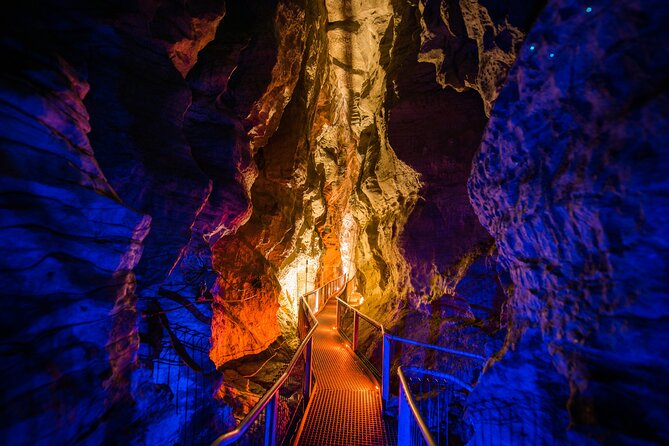 Waitomo Glowworm & Ruakuri Twin Cave Experience - Small Group Tour From Auckland - Food and timing: plan for a long day without meals