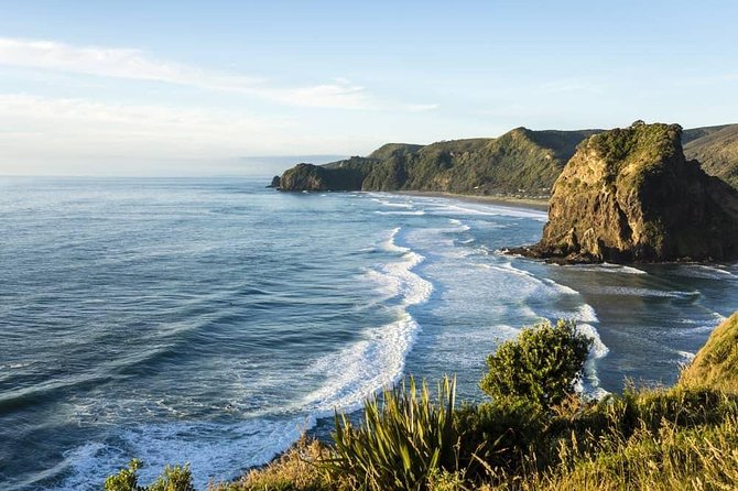 West Coast Discovery - Piha Beach or Muriwai Beach from Auckland - Key Highlights Worth Planning For