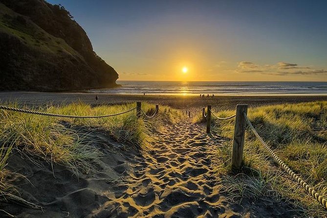 West Coast Discovery - Piha Beach or Muriwai Beach from Auckland - Waitakere Ranges Rainforest + Maori Themes on the Way to the Shore
