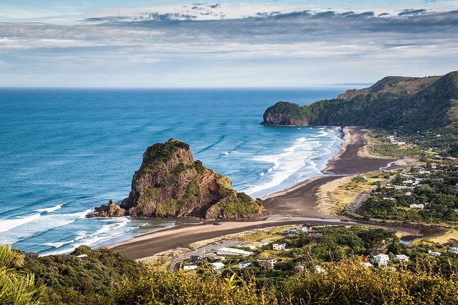 West Coast Discovery - Piha Beach or Muriwai Beach from Auckland - Muriwai Gannet Colony: A Clifftop Lookout for Sea Birds