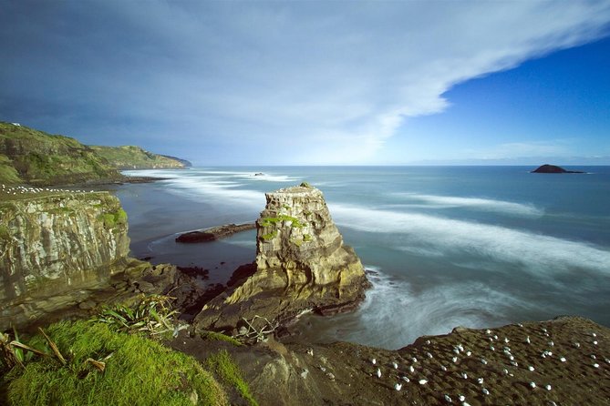 West Coast Discovery - Piha Beach or Muriwai Beach from Auckland - Timing, Pickup, and How This 5-Hour Plan Really Works