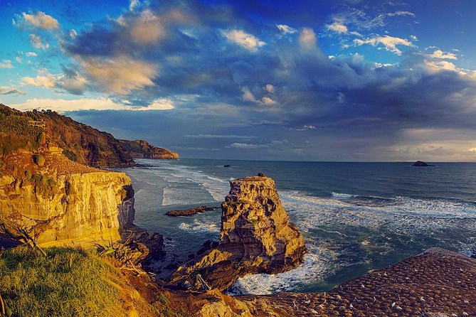 West Coast Discovery - Piha Beach or Muriwai Beach from Auckland - Should You Book This Tour?