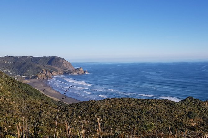 West Coast Discovery - Piha Beach or Muriwai Beach from Auckland - Piha Beach: Black Sand, Surf Power, and a Proper West-Coast Feel