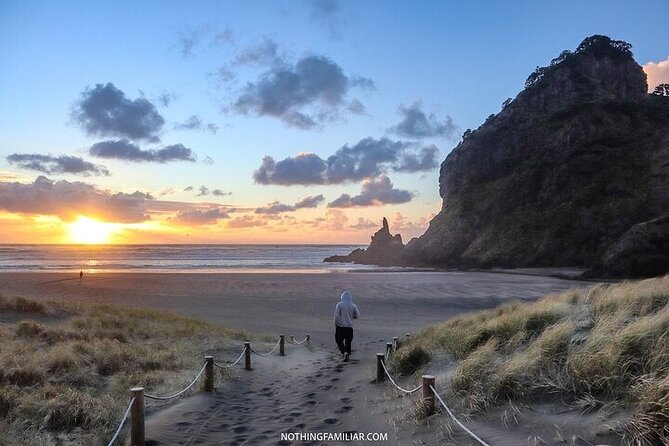 West Coast Discovery Tour - Price and value: why $142.11 can feel fair for this day