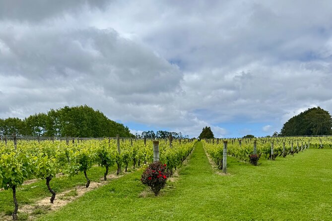 Wineries / Brewery - The Real Value: Price, Pickup, and What’s Extra